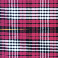 Little of Morton Rigg Tartan