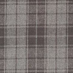 Grey Highlander Tartan