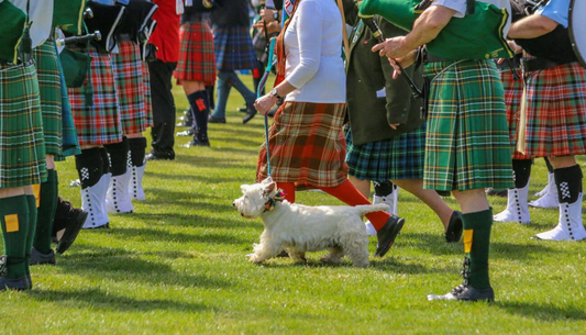 Famous Tartans of Ireland: A Deep Dive into History!