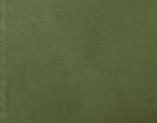 Green swatch