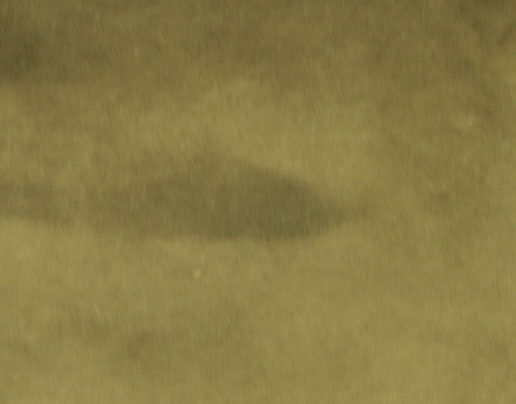 Brown swatch