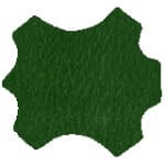 green leather swatch