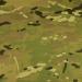 Multicam swatch